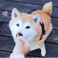 お菓子